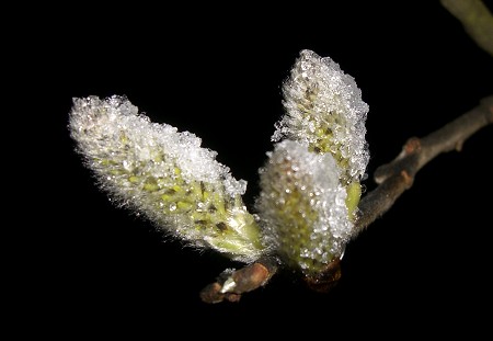 Frühling oder Winter in Doksy?